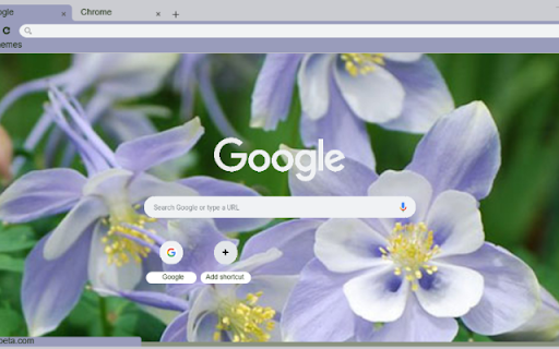 Columbine Blue from Chrome web store to be run with OffiDocs Chromium online Columbine Blue from Chrome web store to be run with OffiDocs Chromium online