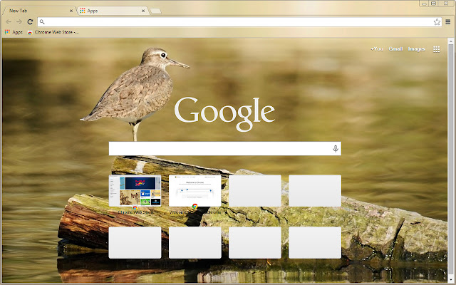common sandpiper from Chrome web store to be run with OffiDocs Chromium online common sandpiper from Chrome web store to be run with OffiDocs Chromium online