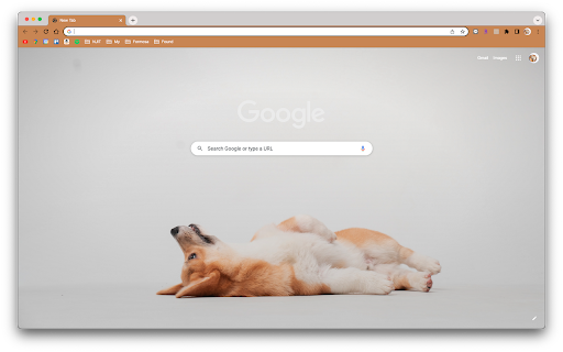 Corgi Theme from Chrome web store to be run with OffiDocs Chromium online Corgi Theme from Chrome web store to be run with OffiDocs Chromium online