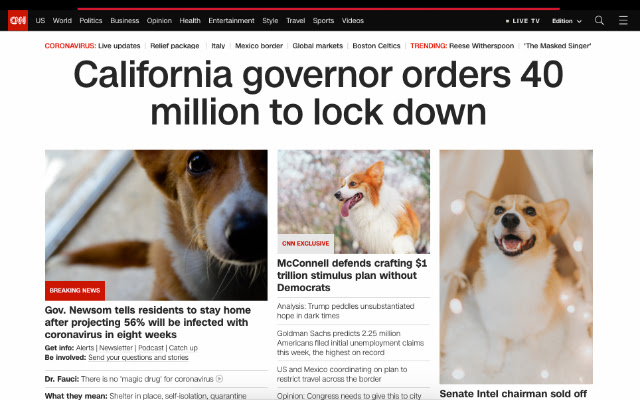 Corgi The News from Chrome web store to be run with OffiDocs Chromium online Corgi The News from Chrome web store to be run with OffiDocs Chromium online