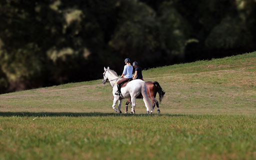 Couple on horseback from Chrome web store to be run with OffiDocs Chromium online Couple on horseback from Chrome web store to be run with OffiDocs Chromium online