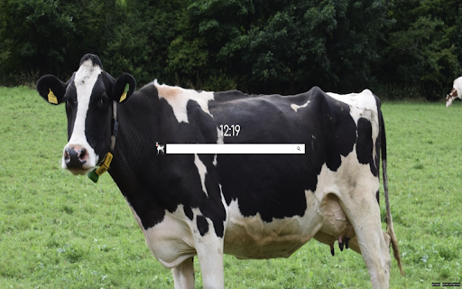 Cows Backgrounds from Chrome web store to be run with OffiDocs Chromium online Cows Backgrounds from Chrome web store to be run with OffiDocs Chromium online