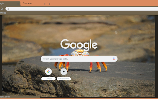 Cua Hoang Da from Chrome web store to be run with OffiDocs Chromium online Cua Hoang Da from Chrome web store to be run with OffiDocs Chromium online
