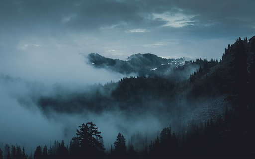 Dark Moody Forest from Chrome web store to be run with OffiDocs Chromium online Dark Moody Forest from Chrome web store to be run with OffiDocs Chromium online