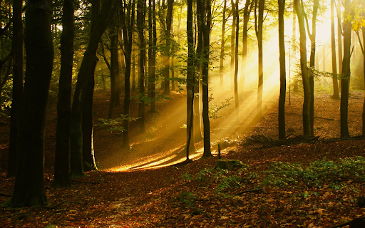 Dawn sunlight from Chrome web store to be run with OffiDocs Chromium online Dawn sunlight from Chrome web store to be run with OffiDocs Chromium online