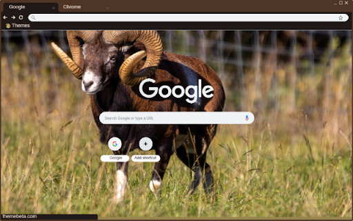 De rung chau Au from Chrome web store to be run with OffiDocs Chromium online De rung chau Au from Chrome web store to be run with OffiDocs Chromium online