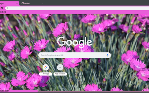 Dianthus from Chrome web store to be run with OffiDocs Chromium online Dianthus from Chrome web store to be run with OffiDocs Chromium online
