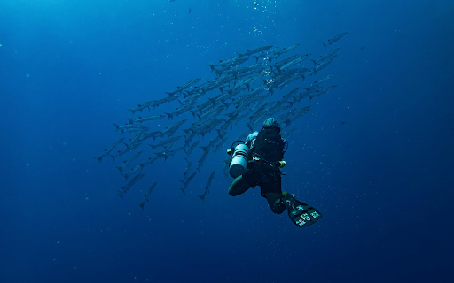 Diver and the Barracudas from Chrome web store to be run with OffiDocs Chromium online Diver and the Barracudas from Chrome web store to be run with OffiDocs Chromium online