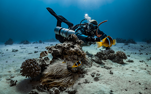 Divers and fish from Chrome web store to be run with OffiDocs Chromium online Divers and fish from Chrome web store to be run with OffiDocs Chromium online