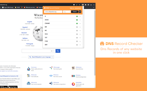 DNS Record Checker from Chrome web store to be run with OffiDocs Chromium online DNS Record Checker from Chrome web store to be run with OffiDocs Chromium online
