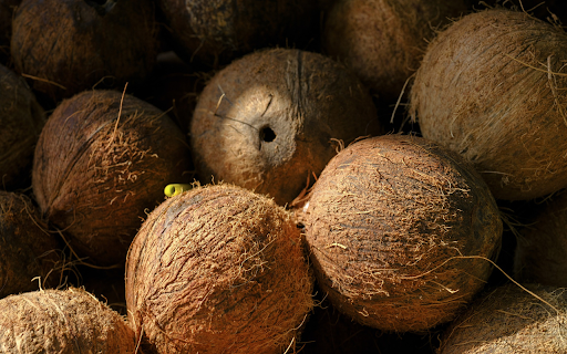 Dried coconut skull from Chrome web store to be run with OffiDocs Chromium online Dried coconut skull from Chrome web store to be run with OffiDocs Chromium online