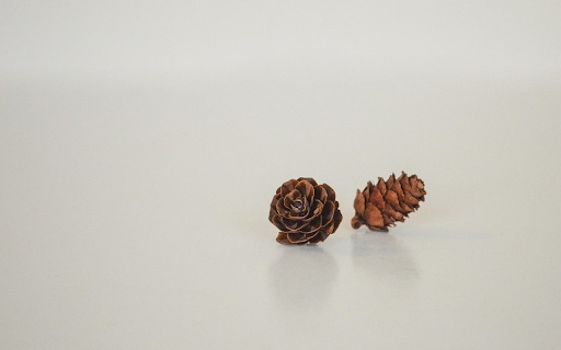 Dried pine cones from Chrome web store to be run with OffiDocs Chromium online Dried pine cones from Chrome web store to be run with OffiDocs Chromium online