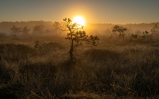 early morning sunrise from Chrome web store to be run with OffiDocs Chromium online early morning sunrise from Chrome web store to be run with OffiDocs Chromium online