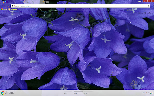 Earth Flower Croatia from Chrome web store to be run with OffiDocs Chromium online Earth Flower Croatia from Chrome web store to be run with OffiDocs Chromium online
