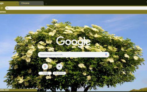 Elderberry Tree from Chrome web store to be run with OffiDocs Chromium online Elderberry Tree from Chrome web store to be run with OffiDocs Chromium online