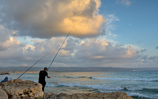 Enjoying sea fishing from Chrome web store to be run with OffiDocs Chromium online Enjoying sea fishing from Chrome web store to be run with OffiDocs Chromium online