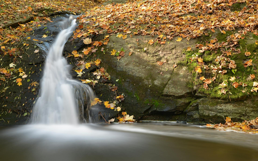 Falling Leaves Stream Bank from Chrome web store to be run with OffiDocs Chromium online Falling Leaves Stream Bank from Chrome web store to be run with OffiDocs Chromium online