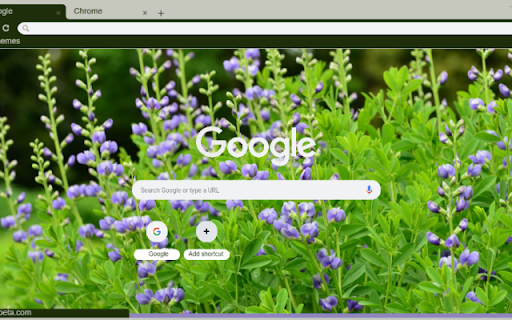 False Indigo from Chrome web store to be run with OffiDocs Chromium online False Indigo from Chrome web store to be run with OffiDocs Chromium online