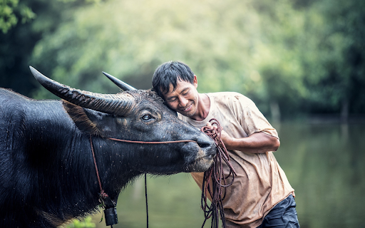 Farmers friend from Chrome web store to be run with OffiDocs Chromium online Farmers friend from Chrome web store to be run with OffiDocs Chromium online