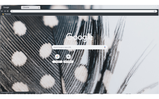 feather from Chrome web store to be run with OffiDocs Chromium online feather from Chrome web store to be run with OffiDocs Chromium online