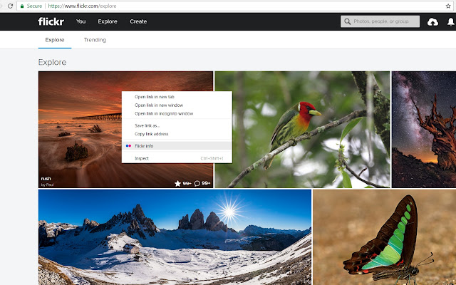Flickr quick user info from Chrome web store to be run with OffiDocs Chromium online Flickr quick user info from Chrome web store to be run with OffiDocs Chromium online