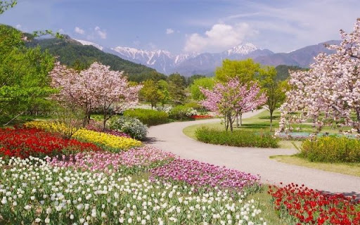Floral Symphony Beneath Snowy Peaks from Chrome web store to be run with OffiDocs Chromium online Floral Symphony Beneath Snowy Peaks from Chrome web store to be run with OffiDocs Chromium online