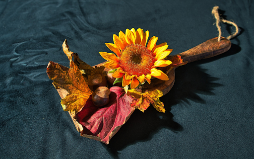 Flowers, leaves and seeds from Chrome web store to be run with OffiDocs Chromium online Flowers, leaves and seeds from Chrome web store to be run with OffiDocs Chromium online