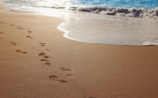 Footprint on the sand from Chrome web store to be run with OffiDocs Chromium online Footprint on the sand from Chrome web store to be run with OffiDocs Chromium online