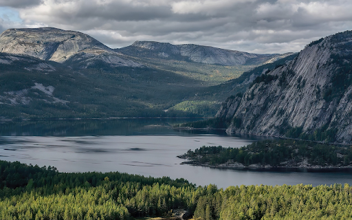 Forest along the lake shore from Chrome web store to be run with OffiDocs Chromium online Forest along the lake shore from Chrome web store to be run with OffiDocs Chromium online