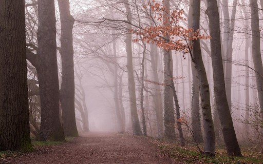 Forest along the road from Chrome web store to be run with OffiDocs Chromium online Forest along the road from Chrome web store to be run with OffiDocs Chromium online