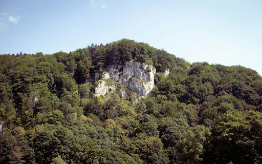 Forest and Rocky Mountains from Chrome web store to be run with OffiDocs Chromium online Forest and Rocky Mountains from Chrome web store to be run with OffiDocs Chromium online