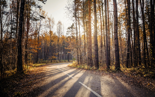Forest and sunny path from Chrome web store to be run with OffiDocs Chromium online Forest and sunny path from Chrome web store to be run with OffiDocs Chromium online