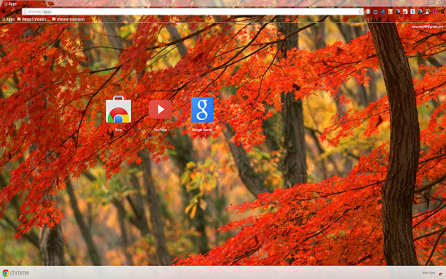 Forest At Fall for 1366 X 768 resolution from Chrome web store to be run with OffiDocs Chromium online Forest At Fall for 1366 X 768 resolution from Chrome web store to be run with OffiDocs Chromium online