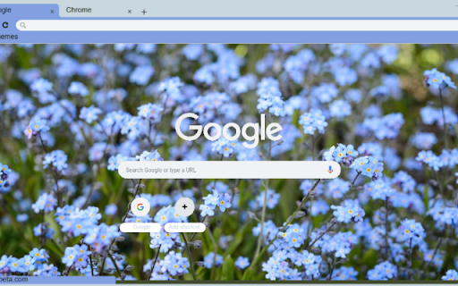 ForgetMeNot from Chrome web store to be run with OffiDocs Chromium online ForgetMeNot from Chrome web store to be run with OffiDocs Chromium online