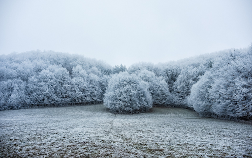Frozen grove from Chrome web store to be run with OffiDocs Chromium online Frozen grove from Chrome web store to be run with OffiDocs Chromium online