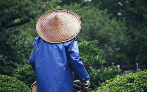Garden caretaker from Chrome web store to be run with OffiDocs Chromium online Garden caretaker from Chrome web store to be run with OffiDocs Chromium online