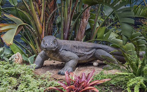 Giant lizard from Chrome web store to be run with OffiDocs Chromium online Giant lizard from Chrome web store to be run with OffiDocs Chromium online