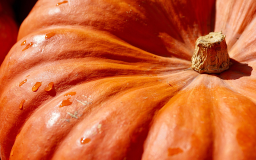 Giant squash from Chrome web store to be run with OffiDocs Chromium online Giant squash from Chrome web store to be run with OffiDocs Chromium online