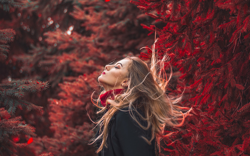 Girl and pine tree from Chrome web store to be run with OffiDocs Chromium online Girl and pine tree from Chrome web store to be run with OffiDocs Chromium online