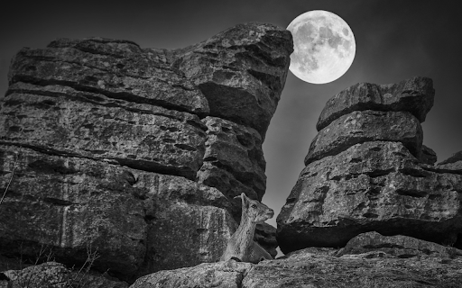 Goat under the moon from Chrome web store to be run with OffiDocs Chromium online Goat under the moon from Chrome web store to be run with OffiDocs Chromium online