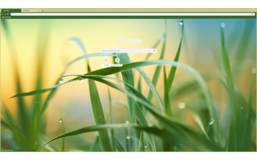 Grass raindrop from Chrome web store to be run with OffiDocs Chromium online Grass raindrop from Chrome web store to be run with OffiDocs Chromium online