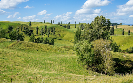 Green grass hills from Chrome web store to be run with OffiDocs Chromium online Green grass hills from Chrome web store to be run with OffiDocs Chromium online