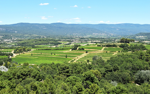 Green lungs from Chrome web store to be run with OffiDocs Chromium online Green lungs from Chrome web store to be run with OffiDocs Chromium online