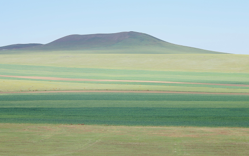 green meadows from Chrome web store to be run with OffiDocs Chromium online green meadows from Chrome web store to be run with OffiDocs Chromium online