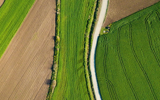 Green vegetable field from Chrome web store to be run with OffiDocs Chromium online Green vegetable field from Chrome web store to be run with OffiDocs Chromium online