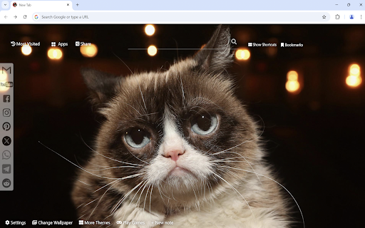 Grumpy Cat Wallpaper from Chrome web store to be run with OffiDocs Chromium online Grumpy Cat Wallpaper from Chrome web store to be run with OffiDocs Chromium online
