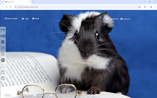 Guinea Pig Wallpaper from Chrome web store to be run with OffiDocs Chromium online Guinea Pig Wallpaper from Chrome web store to be run with OffiDocs Chromium online