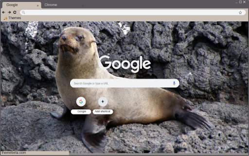 Hai cau from Chrome web store to be run with OffiDocs Chromium online Hai cau from Chrome web store to be run with OffiDocs Chromium online