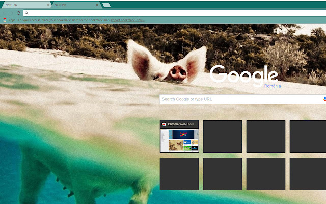 Hawaiian Pig from Chrome web store to be run with OffiDocs Chromium online Hawaiian Pig from Chrome web store to be run with OffiDocs Chromium online