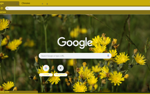 Hawkweed from Chrome web store to be run with OffiDocs Chromium online Hawkweed from Chrome web store to be run with OffiDocs Chromium online